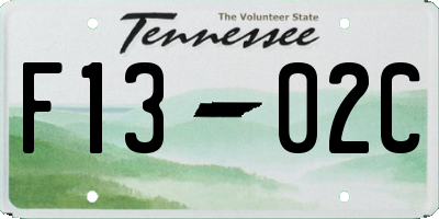 TN license plate F1302C
