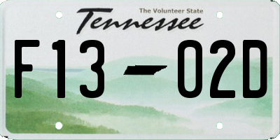 TN license plate F1302D