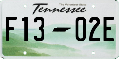 TN license plate F1302E