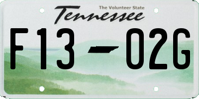 TN license plate F1302G
