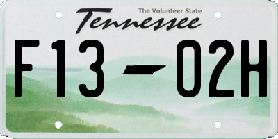 TN license plate F1302H
