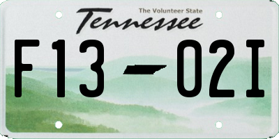 TN license plate F1302I