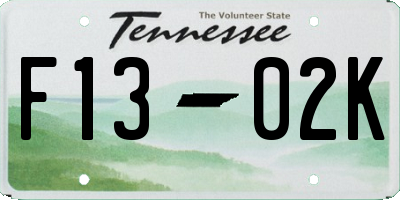 TN license plate F1302K