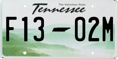 TN license plate F1302M