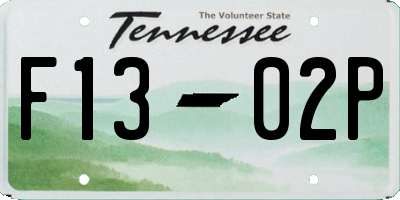 TN license plate F1302P