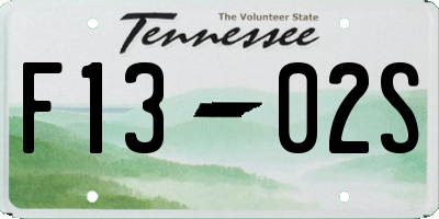 TN license plate F1302S