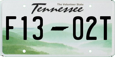 TN license plate F1302T