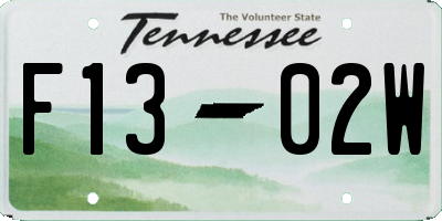 TN license plate F1302W