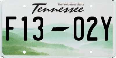 TN license plate F1302Y