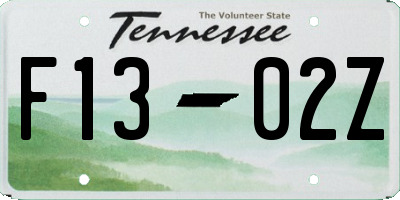 TN license plate F1302Z