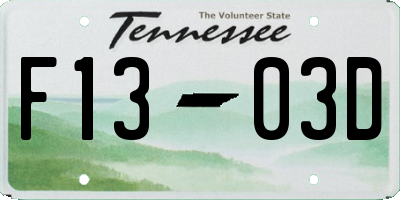 TN license plate F1303D