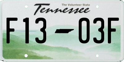 TN license plate F1303F