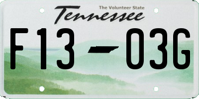 TN license plate F1303G