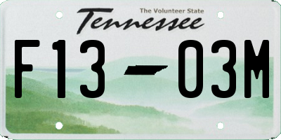 TN license plate F1303M