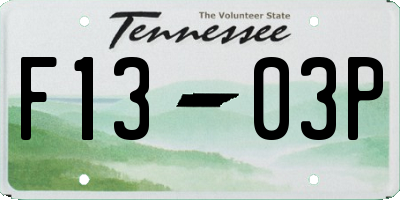 TN license plate F1303P