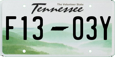 TN license plate F1303Y