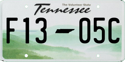 TN license plate F1305C