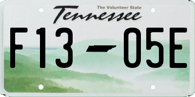 TN license plate F1305E