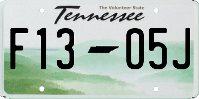 TN license plate F1305J