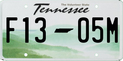 TN license plate F1305M