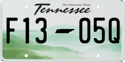 TN license plate F1305Q