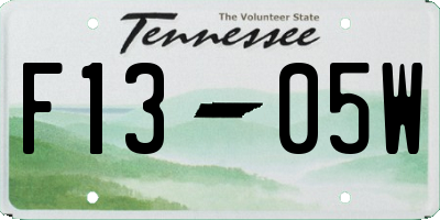 TN license plate F1305W