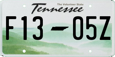 TN license plate F1305Z
