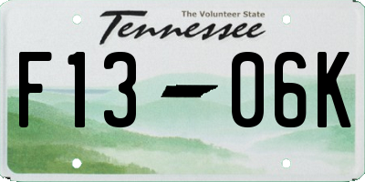 TN license plate F1306K