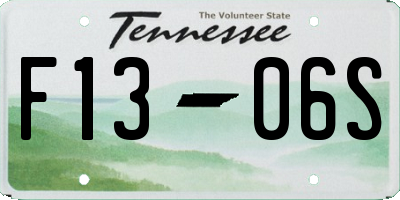 TN license plate F1306S