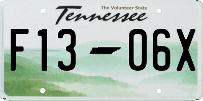 TN license plate F1306X