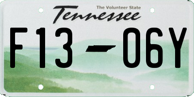 TN license plate F1306Y