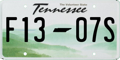 TN license plate F1307S
