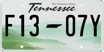 TN license plate F1307Y