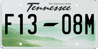 TN license plate F1308M