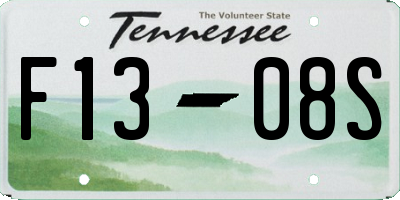 TN license plate F1308S