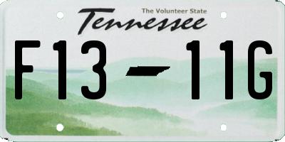 TN license plate F1311G