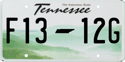 TN license plate F1312G