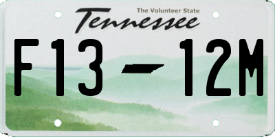 TN license plate F1312M