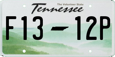 TN license plate F1312P
