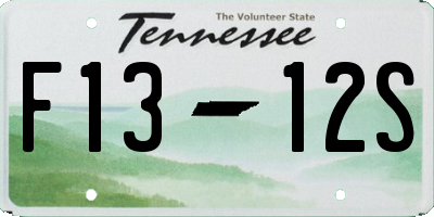 TN license plate F1312S