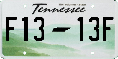 TN license plate F1313F