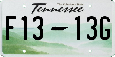 TN license plate F1313G