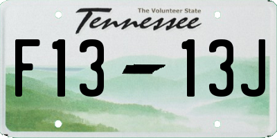 TN license plate F1313J