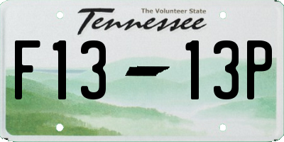 TN license plate F1313P
