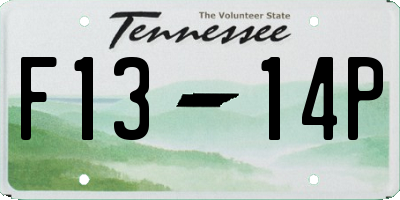TN license plate F1314P