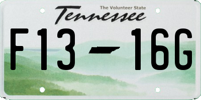 TN license plate F1316G