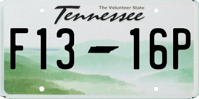 TN license plate F1316P