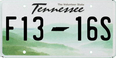 TN license plate F1316S