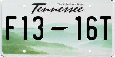TN license plate F1316T