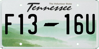 TN license plate F1316U